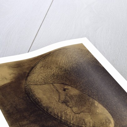 Cellular Face, 1895 by Odilon Redon