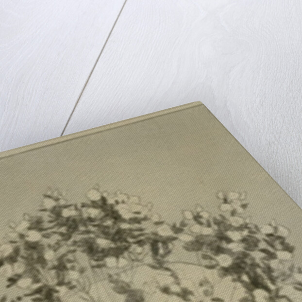 Desires by Max Klinger