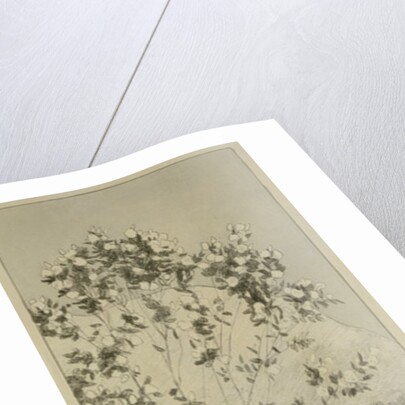 Desires by Max Klinger