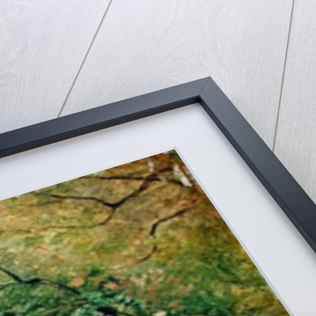 A Hut at Chiemsee, 1872 by Ascan Lutteroth