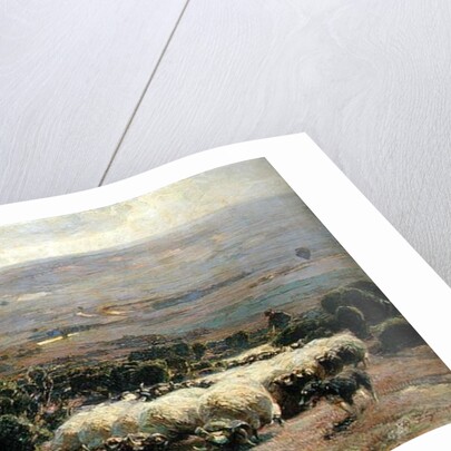 A Herd of Sheep in the Luneburger Heide, 1902 by Heinrich Johann von Zugel