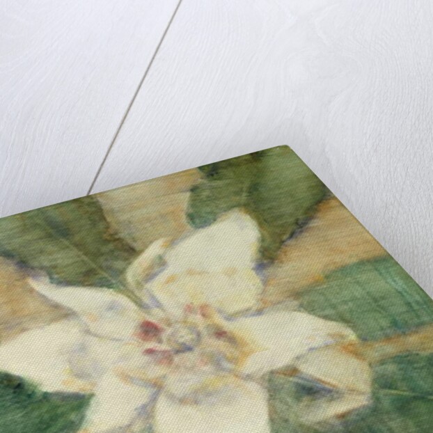 Magnolia Grandiflora by Christian Rohlfs