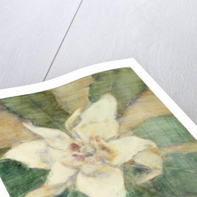 Magnolia Grandiflora by Christian Rohlfs