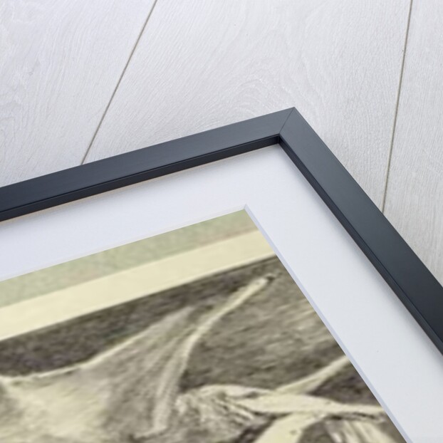 The Seizure by Max Klinger