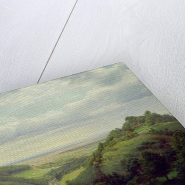 View from the Heilenberg Castle at Jugenheim on the Rhine, 1846 by Heinrich Schilbach