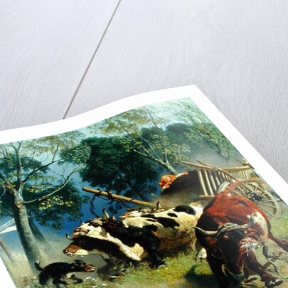 The team of oxen breaks loose by Teutwart Schmitson