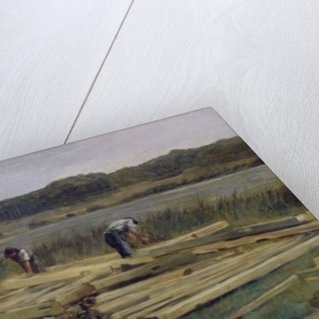 Building Site at Wesslingersee, 1876 by Heinrich Wilhelm Truebner