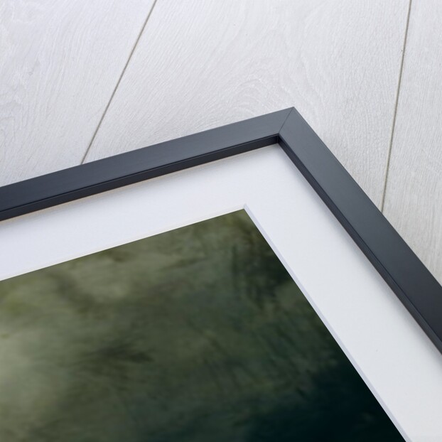 Emigrant passengers on board, 1851 by Felix Schlesinger