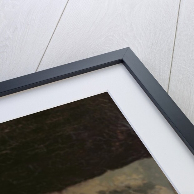 Still life with casserole and wild duck, 1885 by Carl Schuch