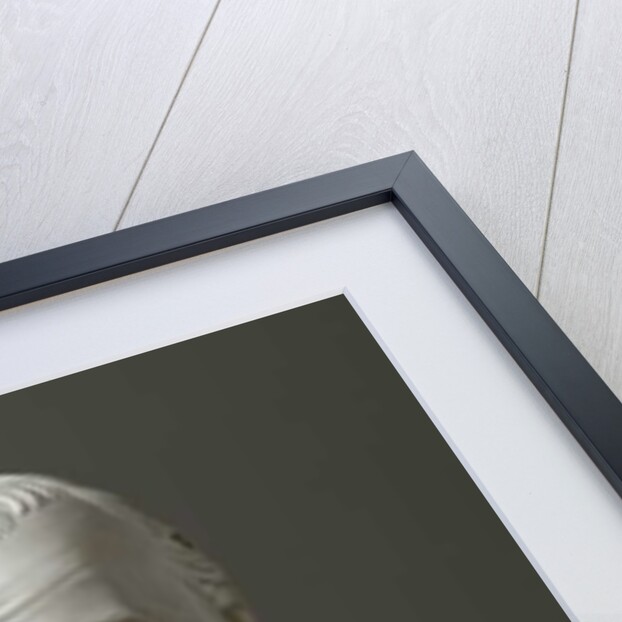 Immanuel Kant, 1801 by Friedrich Hagemann