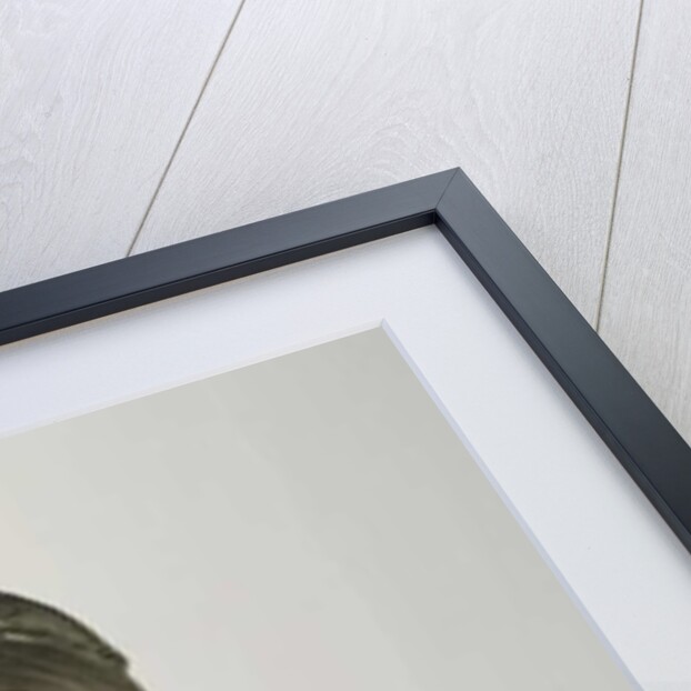 Portrait of Marie Fielder, 1882 by Adolf von Hildebrand