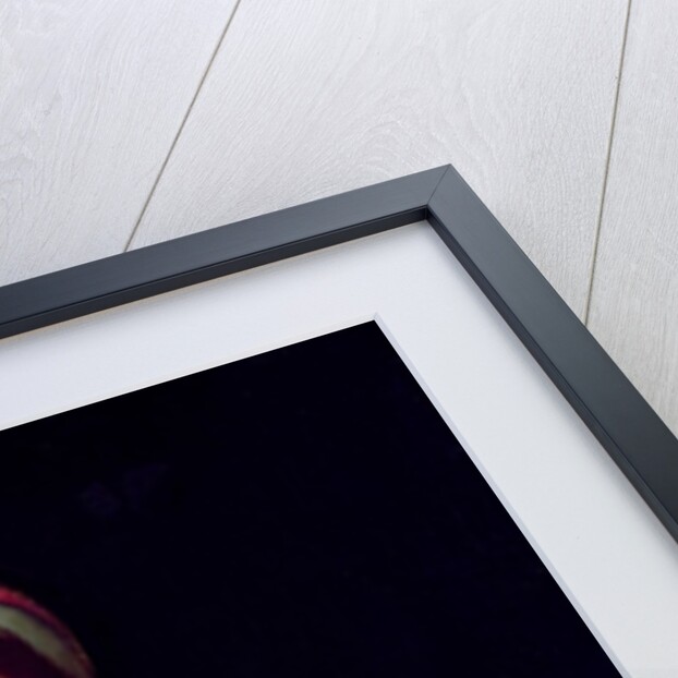 Mary Magdalene Playing the Lute by Master of the Female Half Lengths