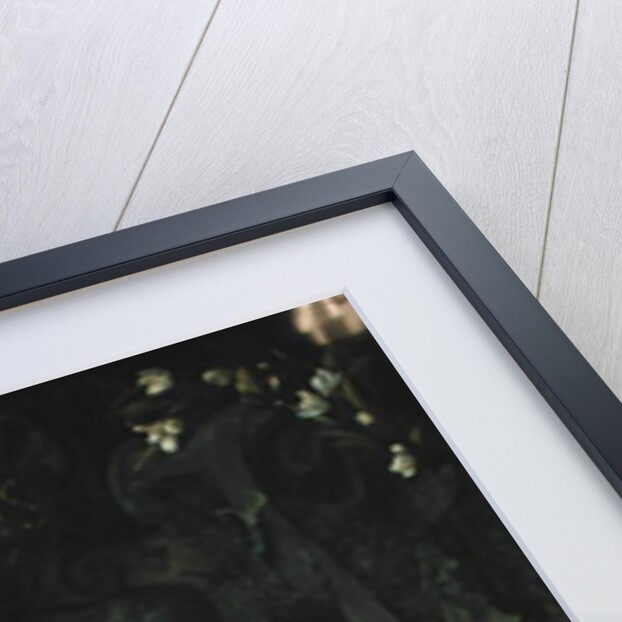 Stone Relief in Flowers by Daniel Seghers