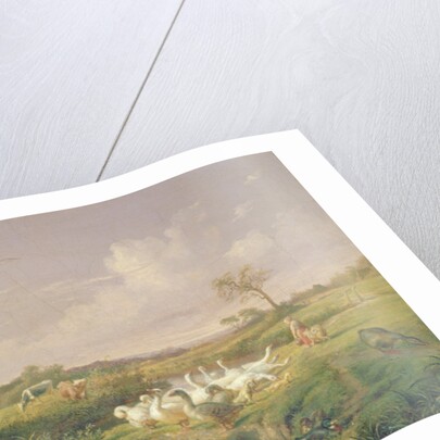 Geese Grazing, 1854 by Otto Speckter