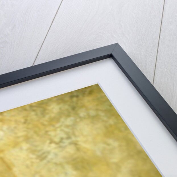 A Corridor in the Old Anatomical Institute in Weimar, 1882 by Hans Speckter