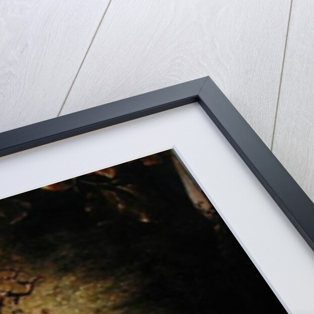 Fruit and Sparrows, 1863 by Johann Wilhelm Preyer