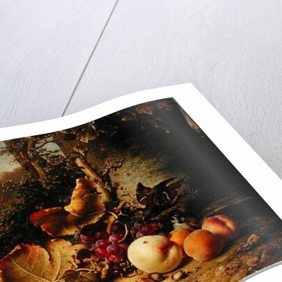 Fruit and Sparrows, 1863 by Johann Wilhelm Preyer