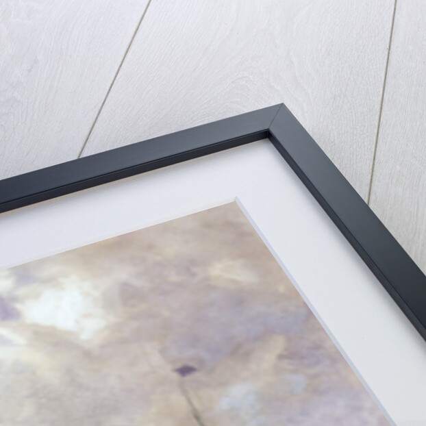 Sailing Ships in the Port of Hamburg, 1889 by Carl Rodeck