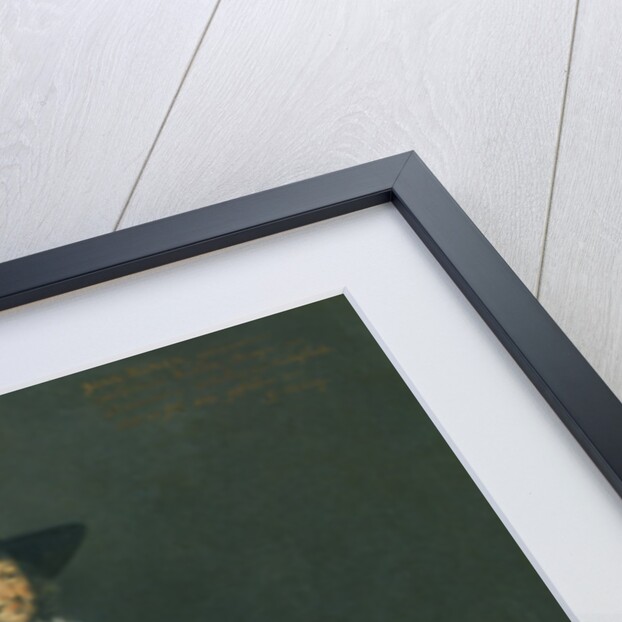 Portrait of Burgermeister Jan Roever by Gerard Terborch