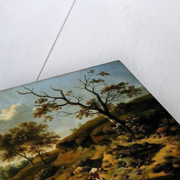 Landscape, 1659 by Jan Wynants