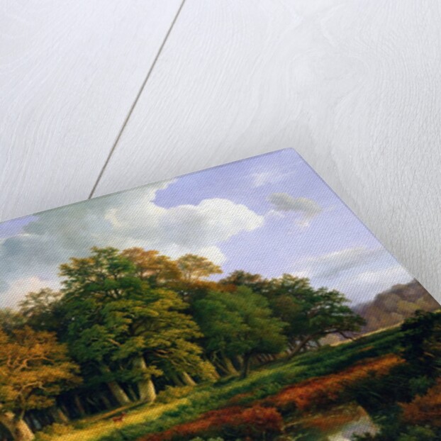 The Stangenmuhlengrund in Sachsenwald, 1852 by Adolf Vollmer