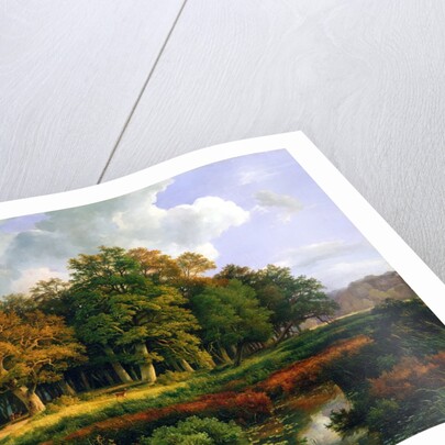 The Stangenmuhlengrund in Sachsenwald, 1852 by Adolf Vollmer