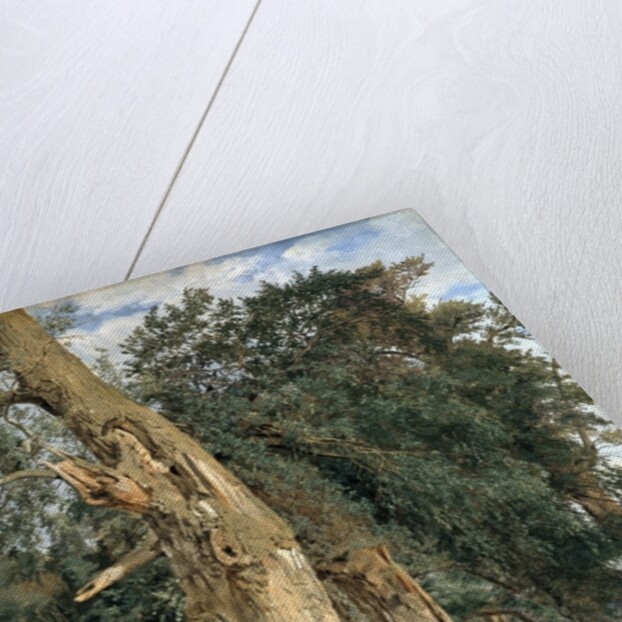 Old elms in Prater, 1831 by Ferdinand Georg Waldmuller