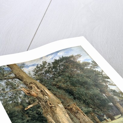 Old elms in Prater, 1831 by Ferdinand Georg Waldmuller