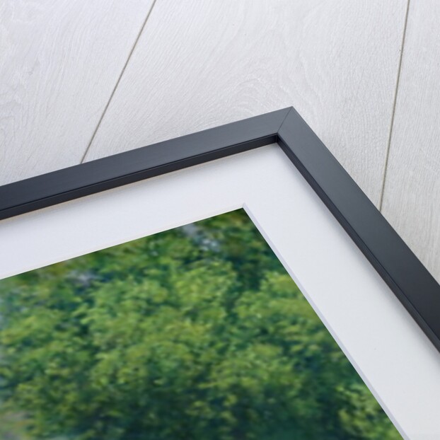 Woodland Meadow, 1876 by Hans Thoma