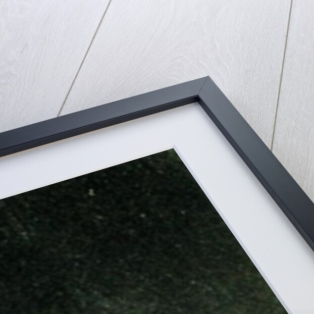 Because she was susceptible by Francisco Jose de Goya y Lucientes