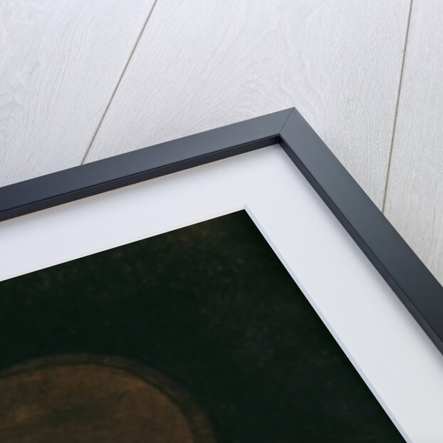 La Sphere, 1890-5 by Odilon Redon