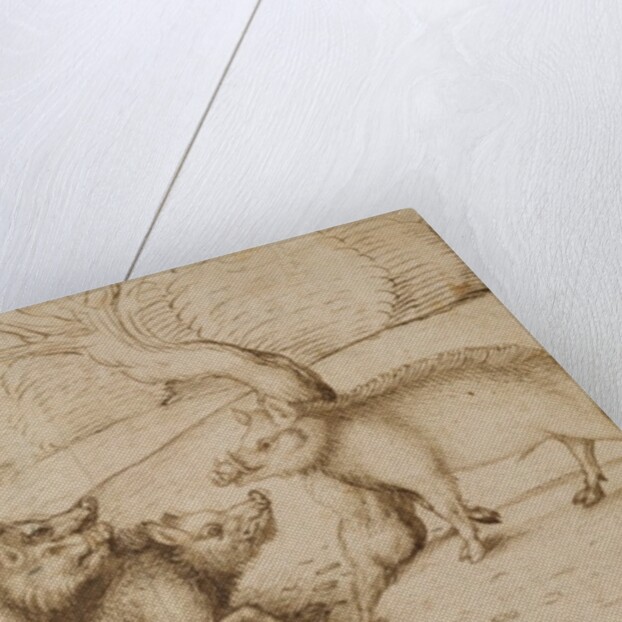 The Boar Family by Martin Schongauer