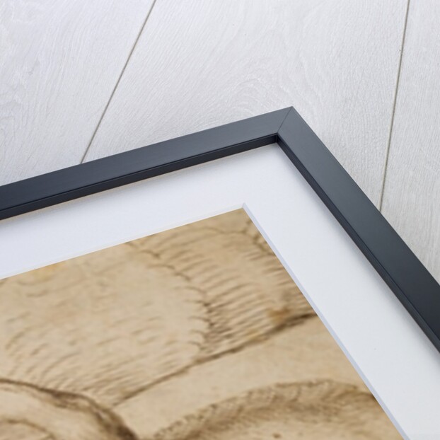 The Boar Family by Martin Schongauer