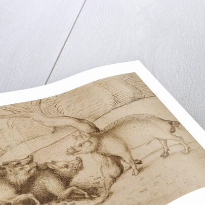 The Boar Family by Martin Schongauer