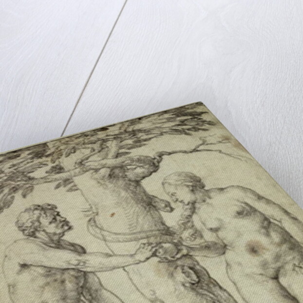 The Fall by Lucas van Leyden