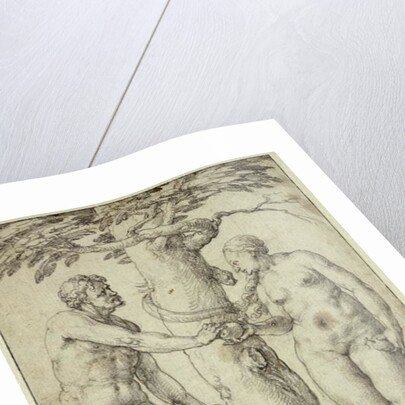 The Fall by Lucas van Leyden