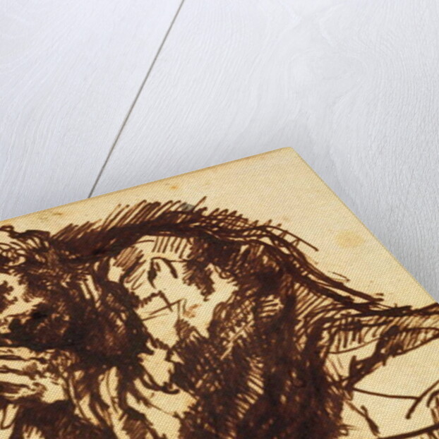 Half length portrait of a man bending over by Giovanni Battista Piranesi