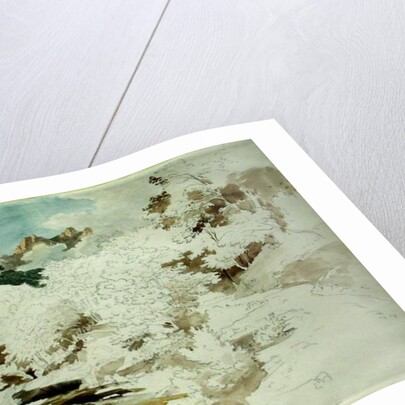 Woodland near Massa by Ernst Fries