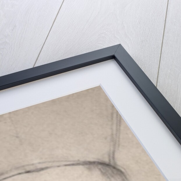 Portrait of a Cardinal by Domenichino