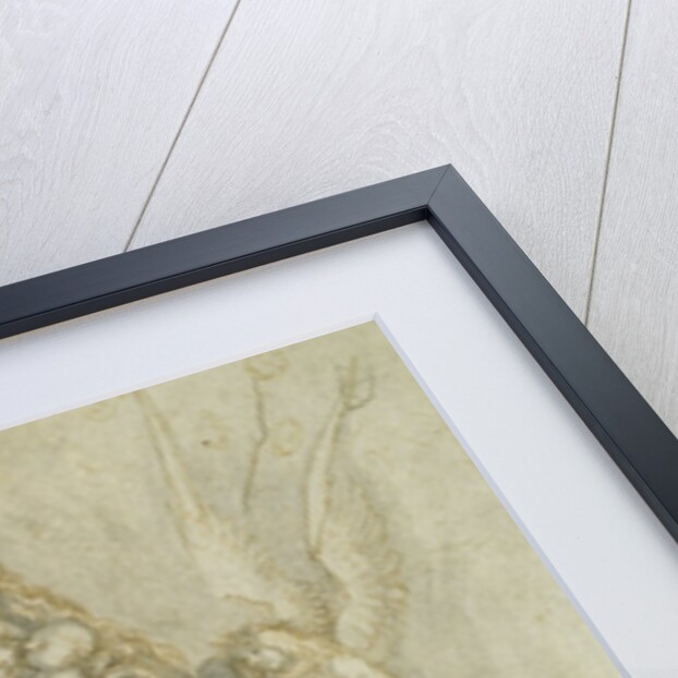 Madonna and Child by Hans Holbein the Elder