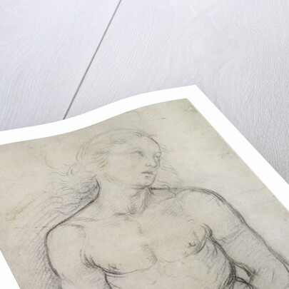 Saint Sebastian, 1499-1500 by Raphael