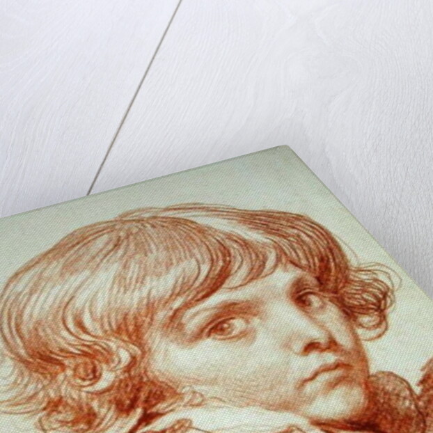 Portrait of a Young Boy by Claude Lorrain