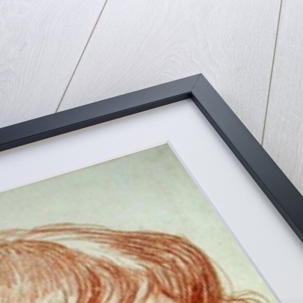 Portrait of a Young Boy by Claude Lorrain