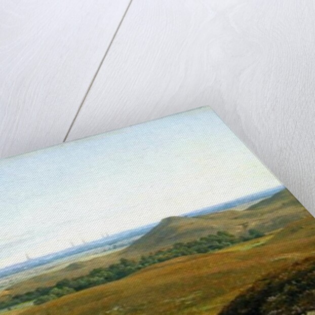 View of Hamburg by Adolf Carl