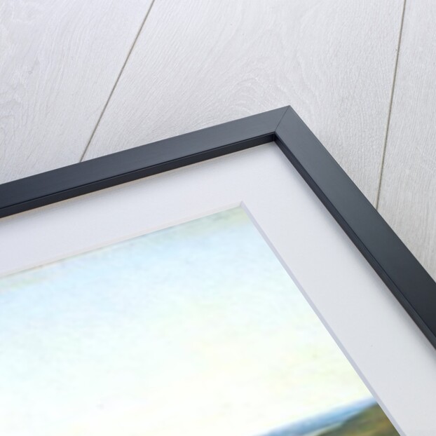 View of Hamburg by Adolf Carl