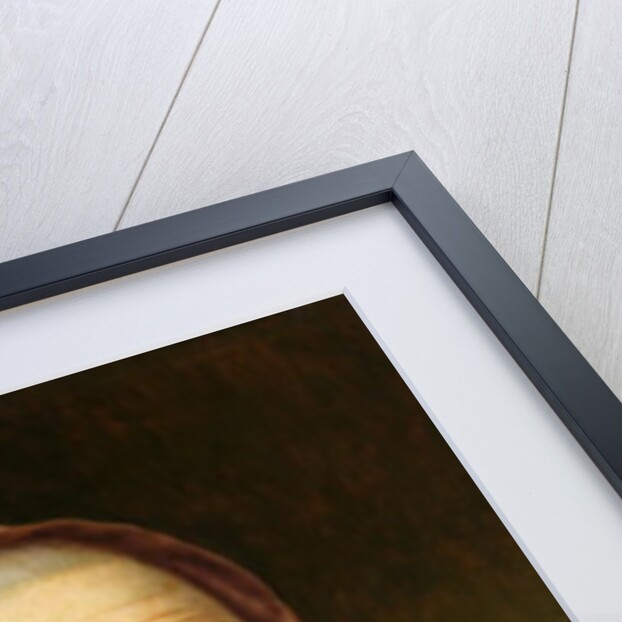 Old Woman by Balthasar Denner