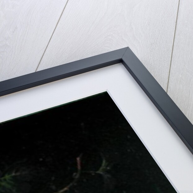 Fruit Still Life by Ernst Stuven