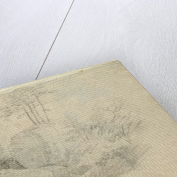 Boulders in Woodland, 1800 by Caspar David Friedrich