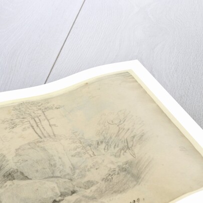 Boulders in Woodland, 1800 by Caspar David Friedrich