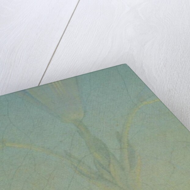 Detail of Aurora from 'Morning', 1808 by Philipp Otto Runge